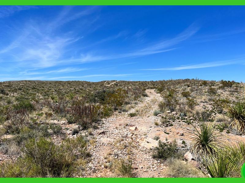 10 Acres in Terlingua, TX : Terlingua : Brewster County : Texas