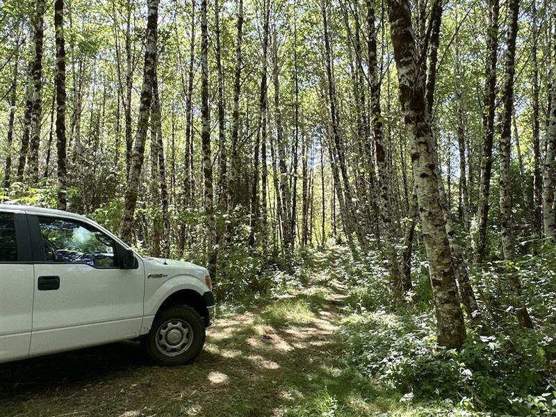 Jack Horner : Wheeler : Clatsop County : Oregon