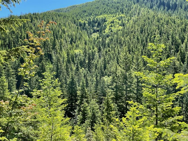 Kida, Clackamas : Estacada : Clackamas County : Oregon