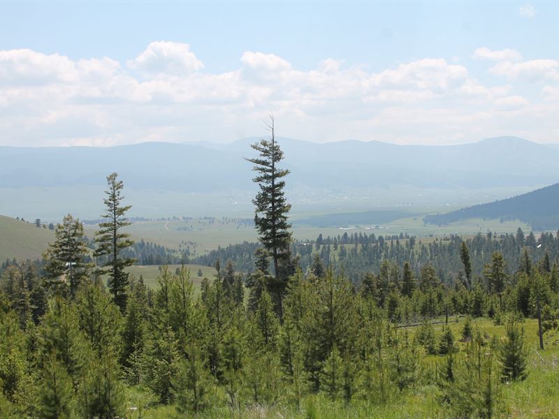 24 Moose Springs Trail 15A : Philipsburg : Granite County : Montana