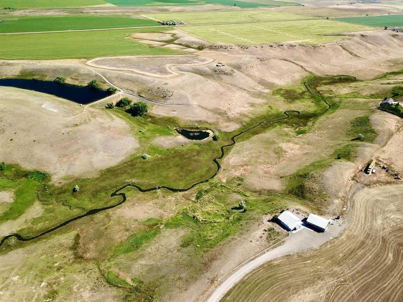 Irrigated Fort Shaw Farm : Fort Shaw : Teton County : Montana