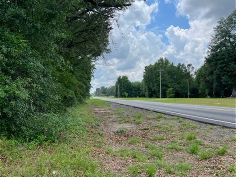 Perfect Home Site : Bainbridge : Decatur County : Georgia
