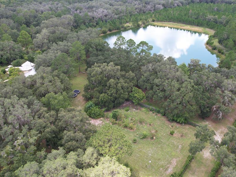 Lochloosa Preserve and Homestead : Hawthorne : Alachua County : Florida