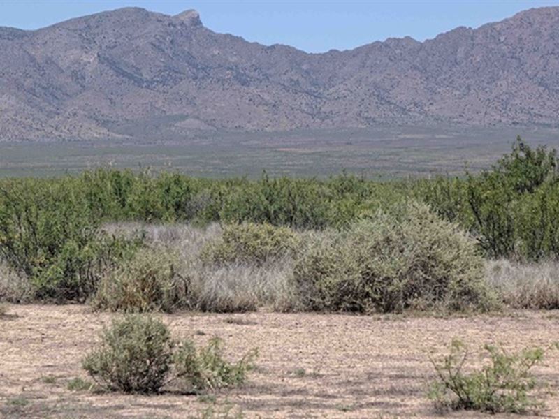 Back to School Clearance, $300 Off : Deming : Luna County : New Mexico