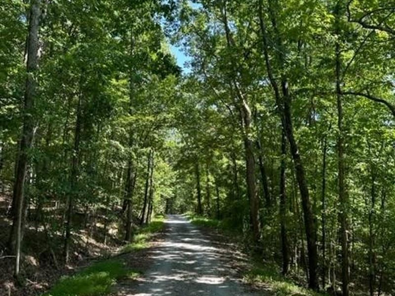 5.02 Acres Unrestricted South Pit : South Pittsburg : Marion County : Tennessee