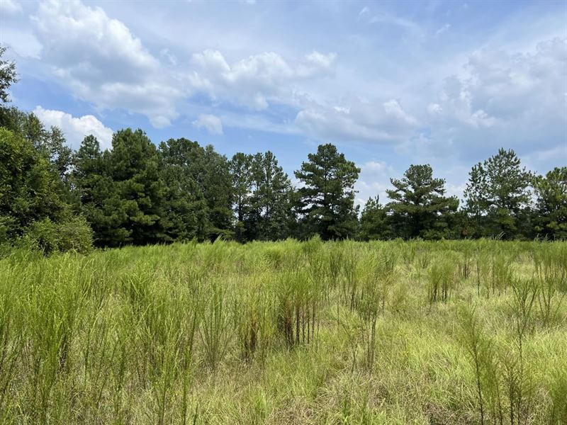 Lot 5 Gap Weekley Farms : Perdido : Baldwin County : Alabama