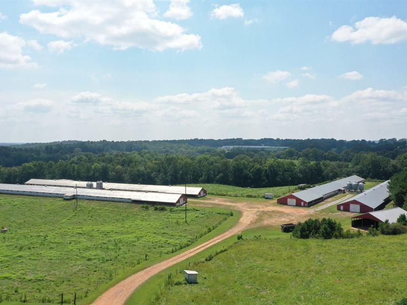 Pine Hill Broiler Farm : Graham : Randolph County : Alabama