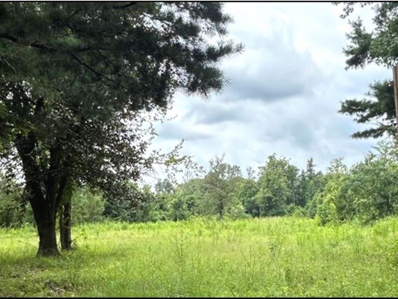 68 Acres in Greene County in Leakes : Leakesville : Greene County : Mississippi