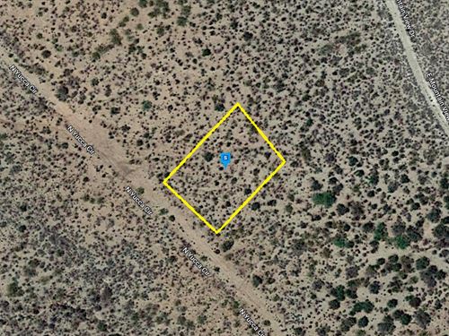 Roadside Lot for $148.11 Down : Tombstone : Cochise County : Arizona