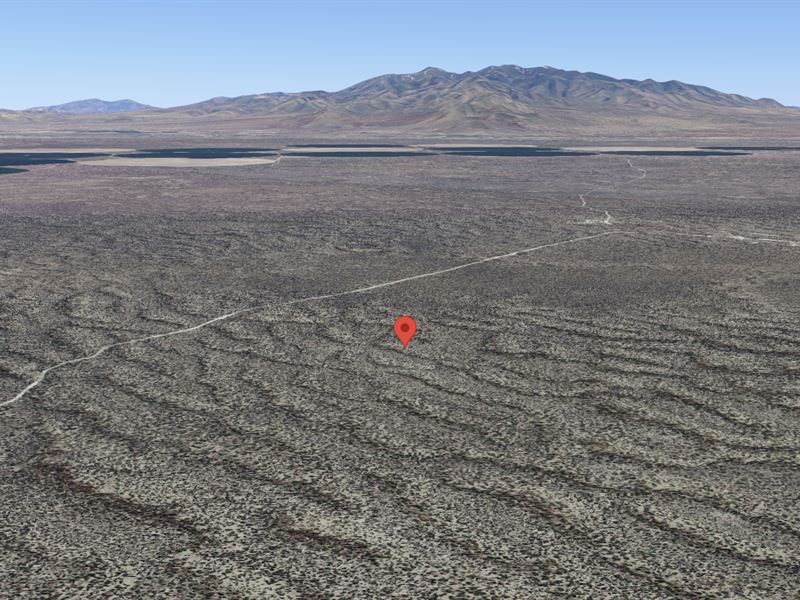 Forty Acre Property in The Plains : Winnemucca : Humboldt County : Nevada