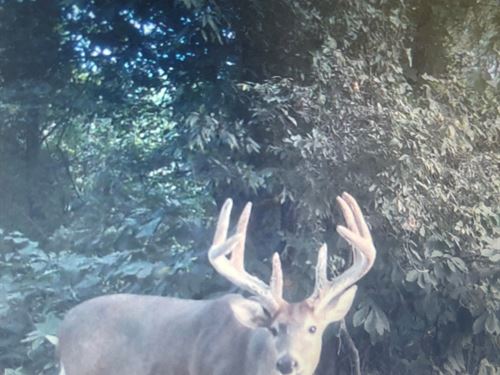 One Equity Share at Whistle Place : Helena : Phillips County : Arkansas