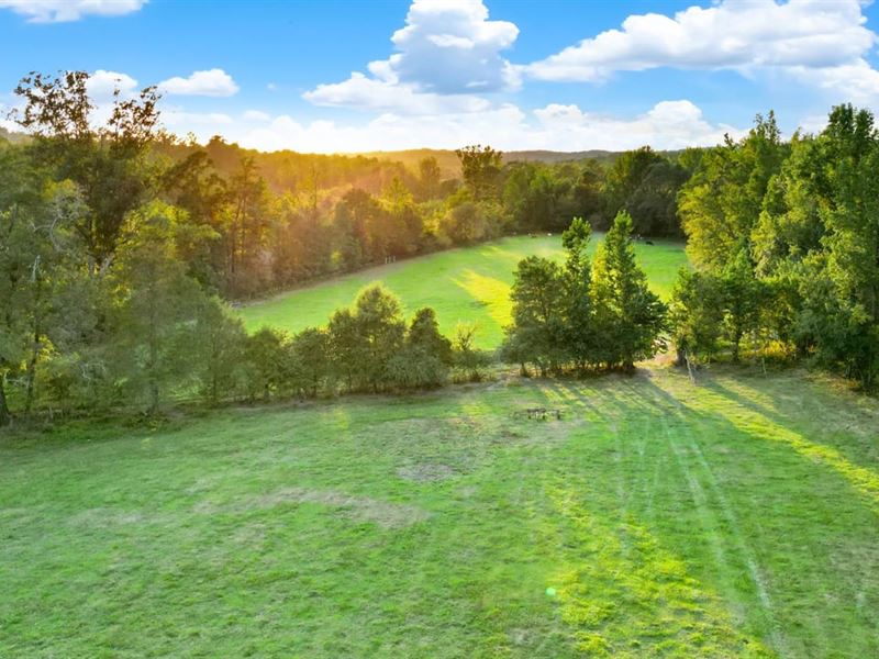 Horse Branch Creek Ranch : Centreville : Bibb County : Alabama