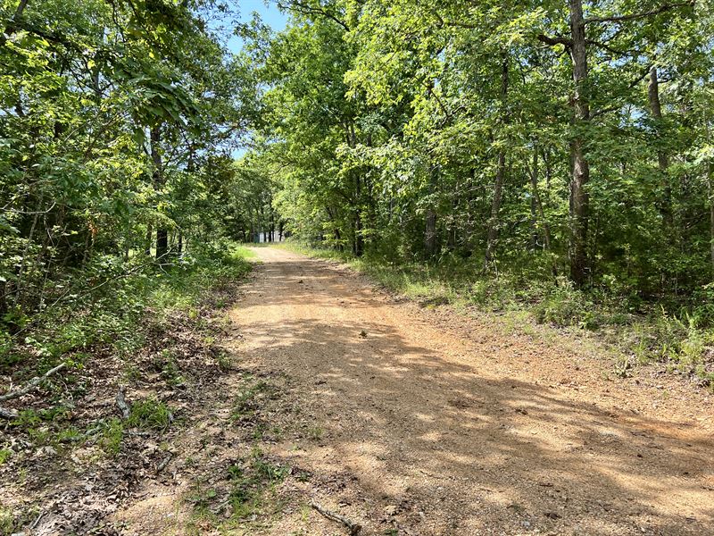 RV Friendly, Live by Lake Ozark : Lincoln : Benton County : Missouri