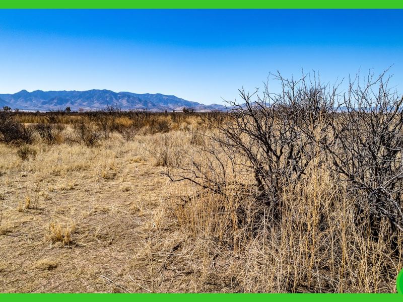 .2065 Acre in Cochise County, AZ : Douglas : Cochise County : Arizona