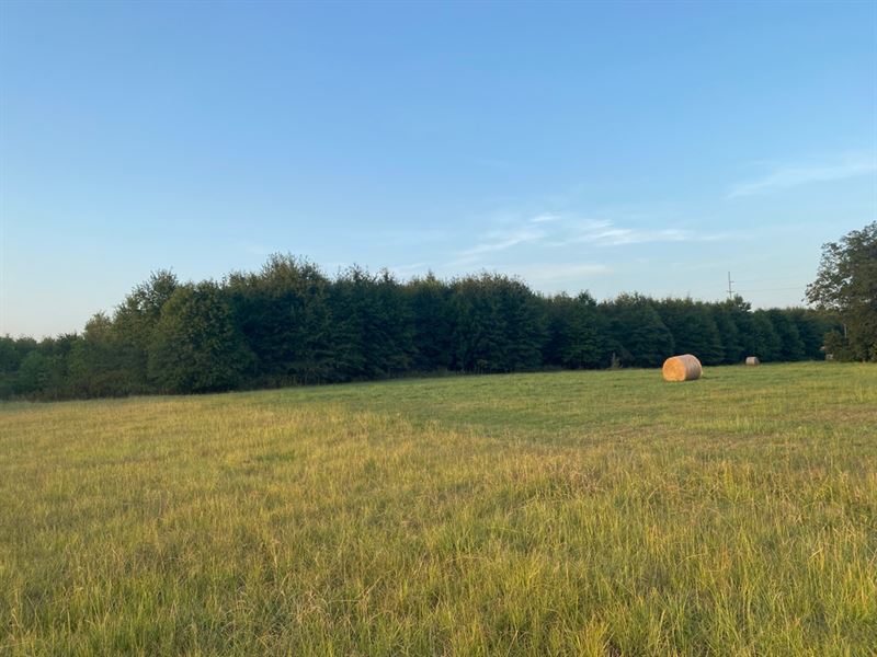 La, Franklin 112.5 Acres : Crowville : Franklin Parish : Louisiana