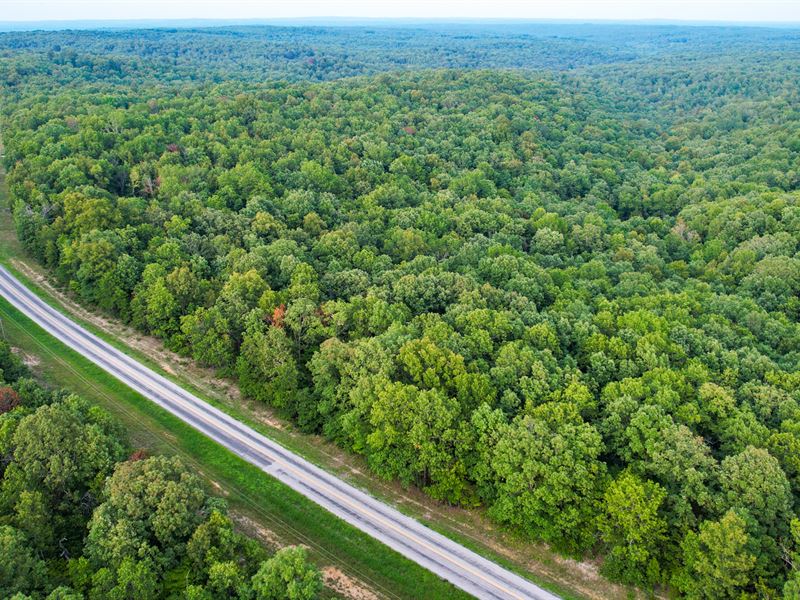 Wolf Creek 46 : Mountain View : Howell County : Missouri