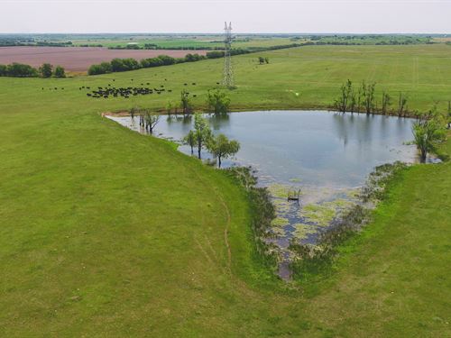 Hilltop Ranch in Milam County : Burlington : Milam County : Texas