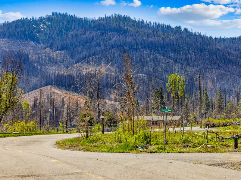 Water & Electricity Available : Greenville : Plumas County : California