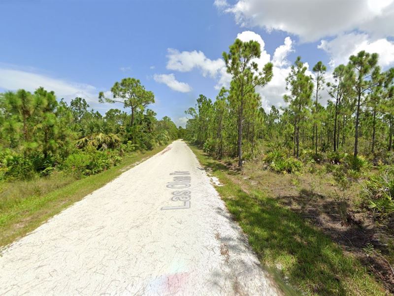 Gorgeous 0.16 Ac, Charlotte County : Punta Gorda : Charlotte County : Florida