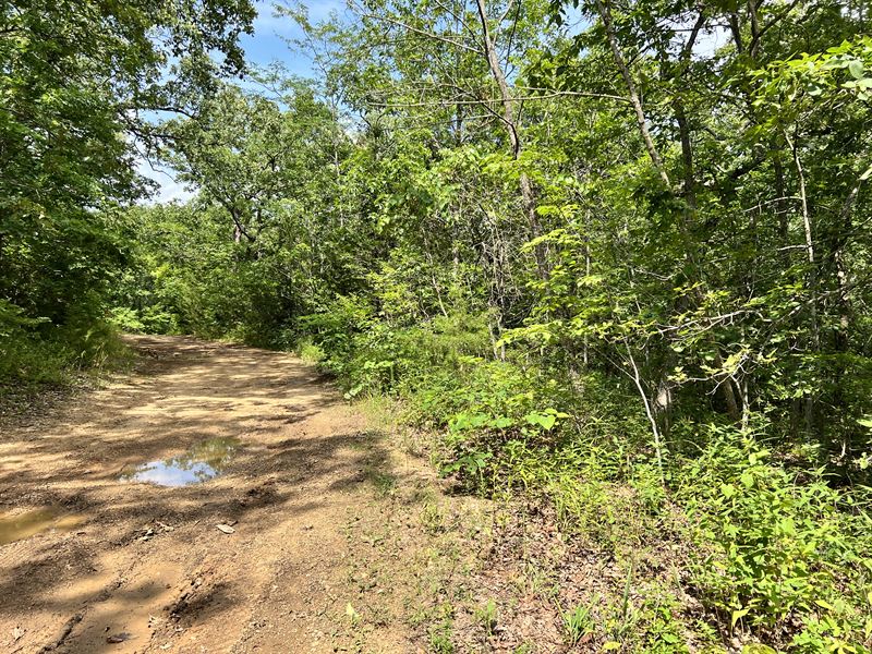 RV Friendly, Live by Lake Ozark : Lincoln : Benton County : Missouri