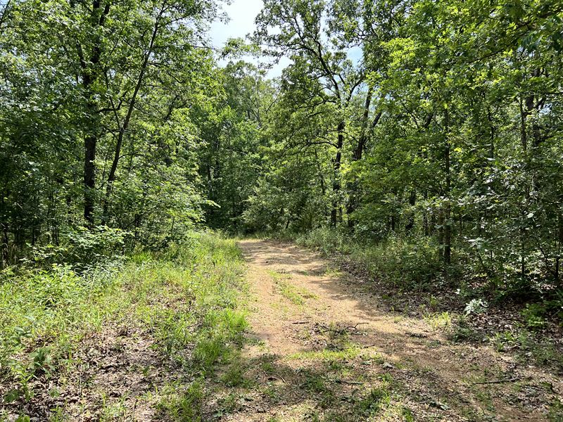 Your Wish, Lakeside Living : Lincoln : Benton County : Missouri