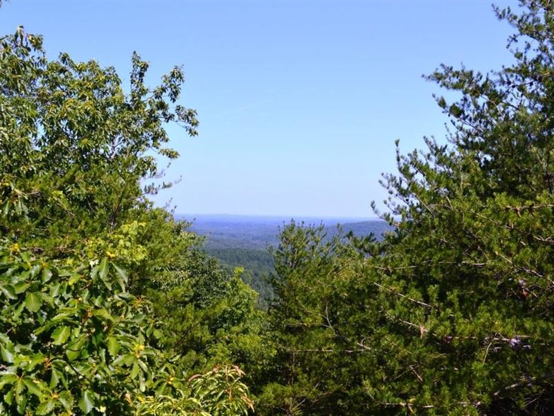 5.3 Acres, Aurora Trail : Landrum : Greenville County : South Carolina