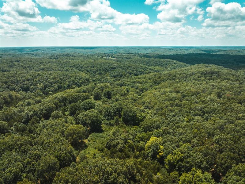 Camp Creek Tract 2 : Rolla : Phelps County : Missouri