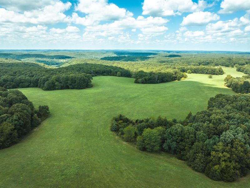 Camp Creek Tract 4 : Rolla : Phelps County : Missouri
