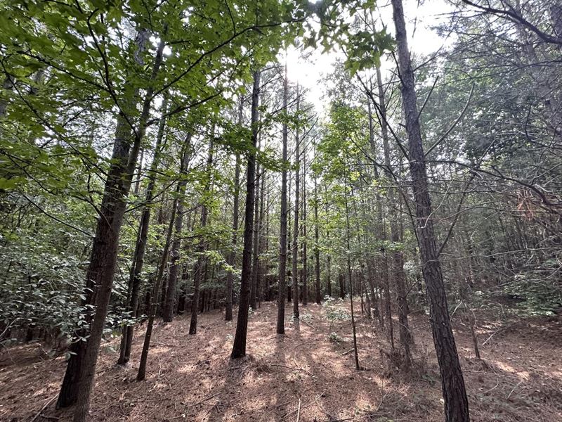 Colbert County 46 : Tuscumbia : Colbert County : Alabama