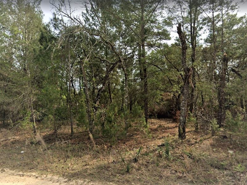 Retirees Who Love Florida : Interlachen : Putnam County : Florida