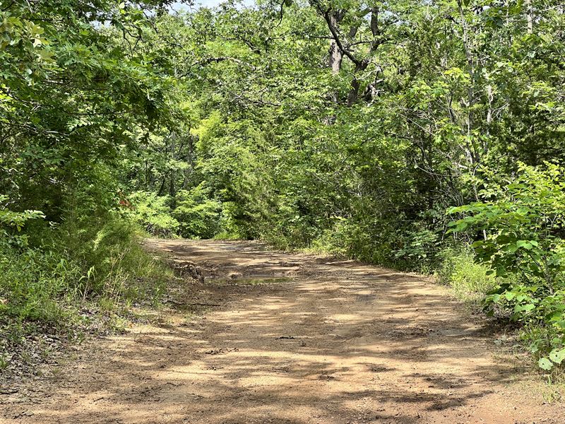 Own a Beautiful Lot : Lincoln : Benton County : Missouri
