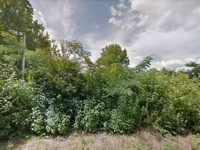 1/2 Acre Of Land Ready for You : Gurdon : Clark County : Arkansas