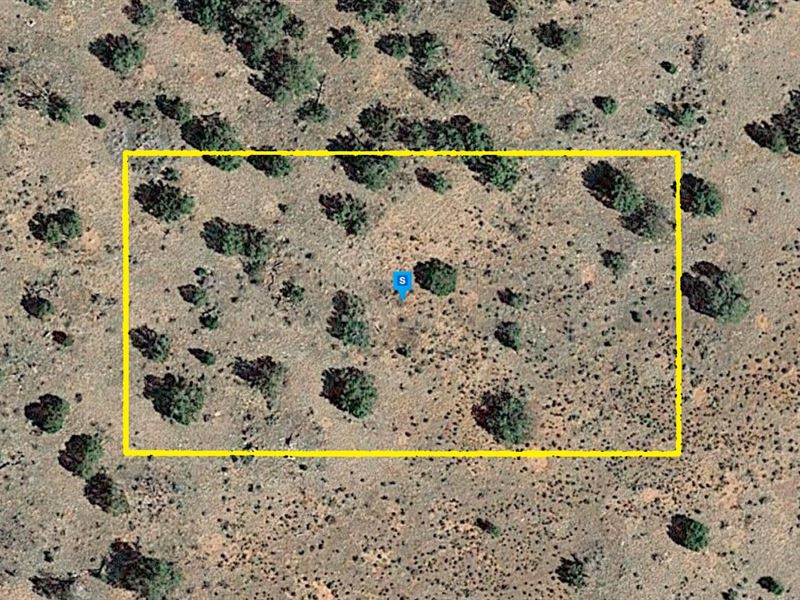 Mountain Serenity Escape : Williams : Coconino County : Arizona