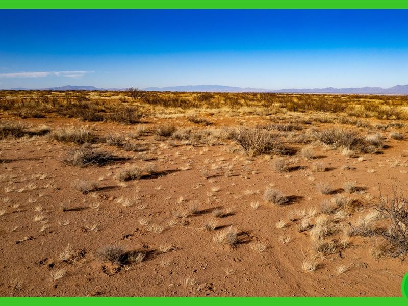 .2065 Acre in Cochise County, AZ : Douglas : Cochise County : Arizona