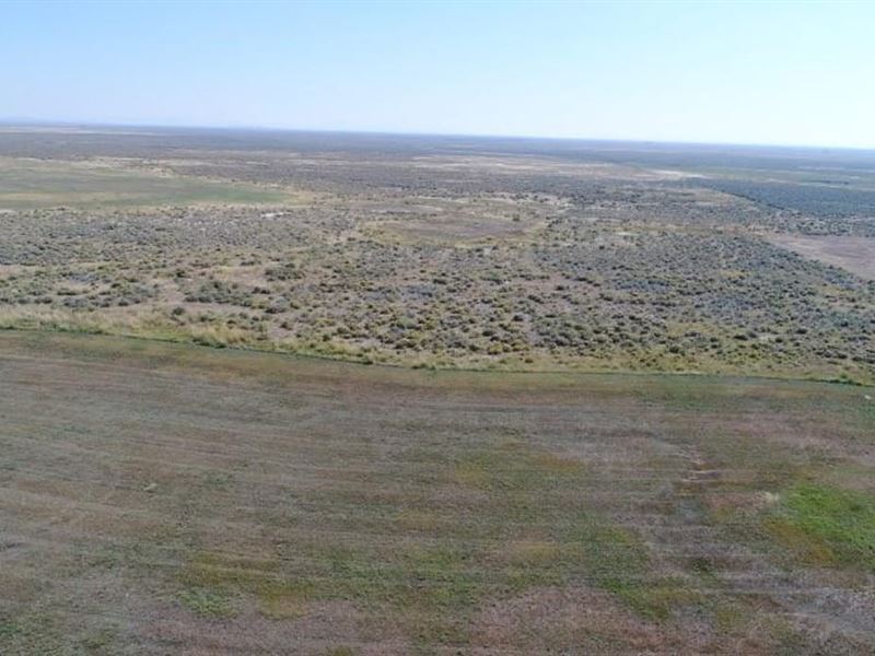 20 Acres and Usfs Permit : Burns : Grant County : Oregon
