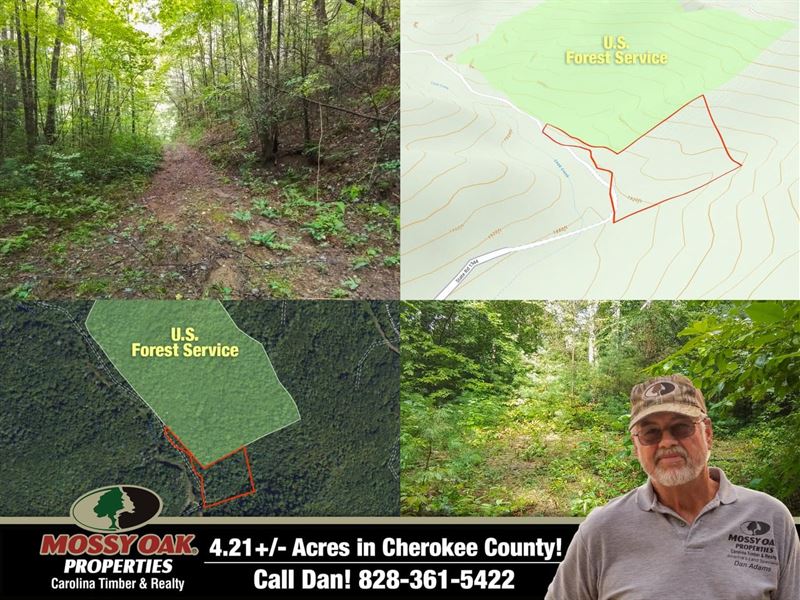 4.21 Acres Unrestricted Borderin : Murphy : Cherokee County : North Carolina