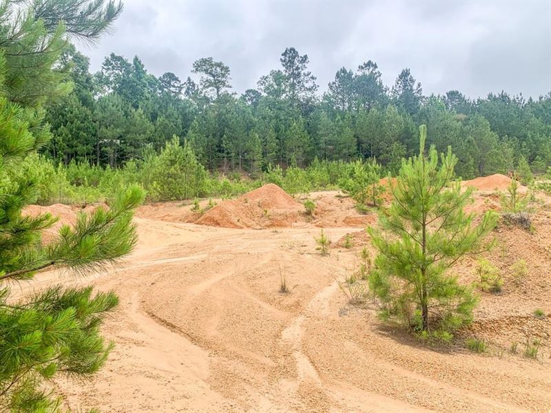 10 Acre Land for Sale Pike County : Summit : Pike County : Mississippi