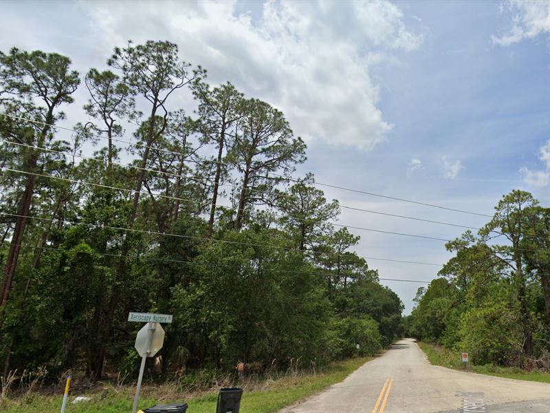 Rv, Mobile, Tiny Homes Allowed : Frostproof : Polk County : Florida
