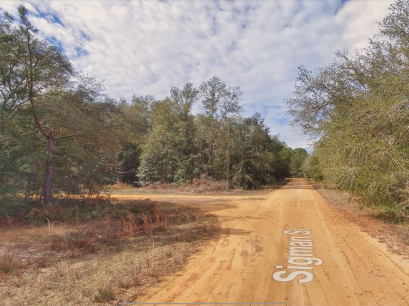 Mobile Homes, Camper or RV Lot : Interlachen : Putnam County : Florida
