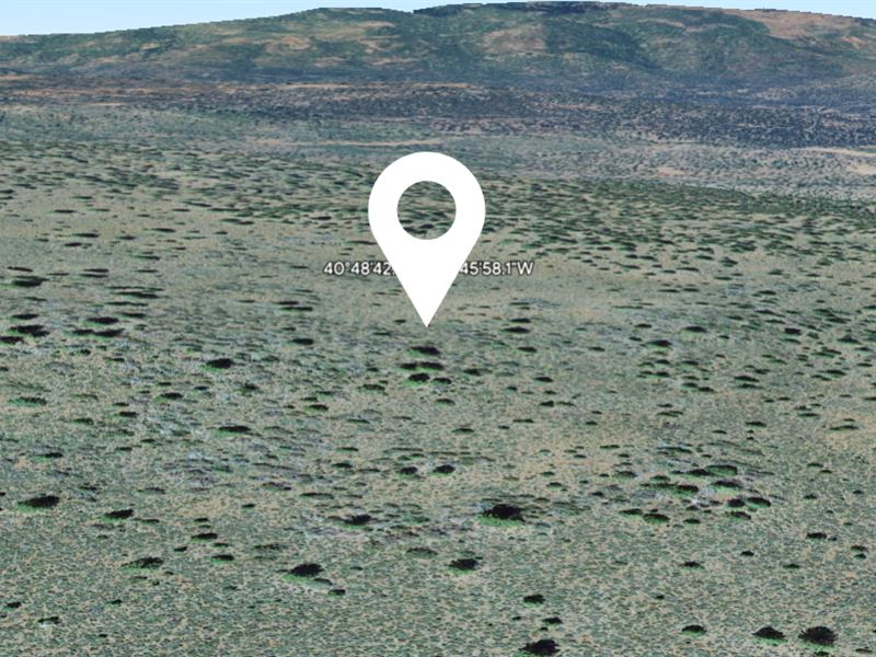 39.14 Acres in Susanville, CA : Susanville : Lassen County : California