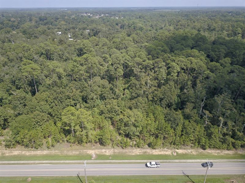 20.64 Ac Robertsdale Baldwin Co : Robertsdale : Baldwin County : Alabama