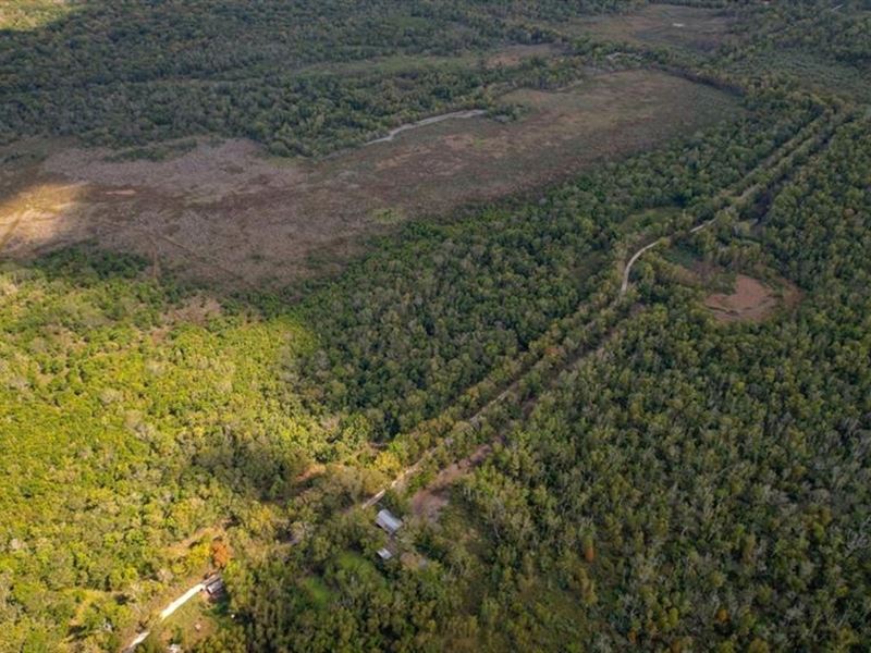 1600 Acres Land for Sale Outside : Saint Gabriel : Iberville Parish : Louisiana