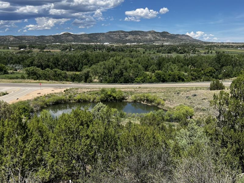 Develop 42 Acre Lot in Trinidad, CO : Trinidad : Las Animas County : Colorado