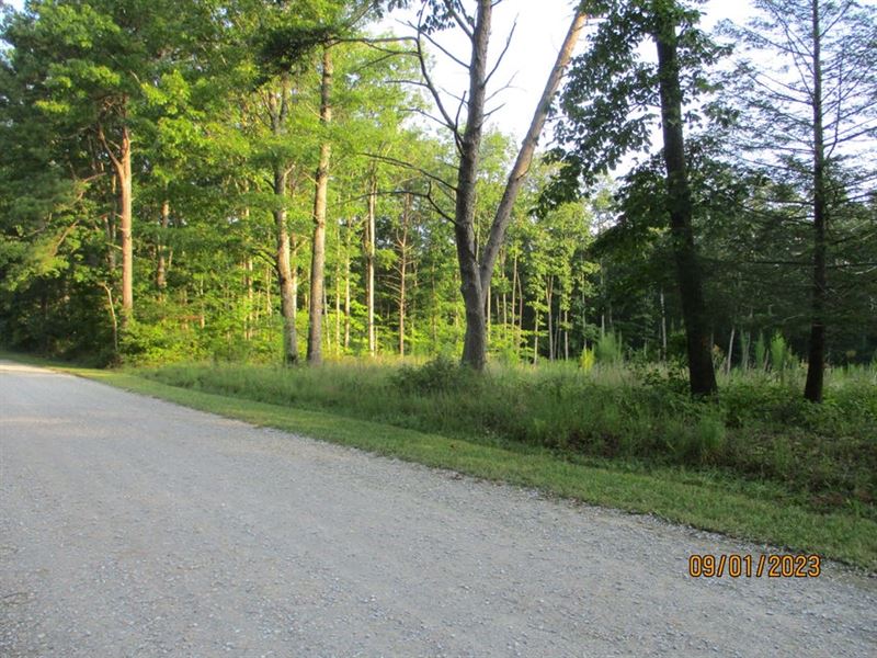Level, Gravel Driveway, Peaceful : Pikeville : Bledsoe County : Tennessee