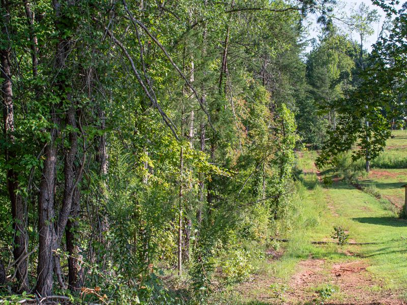 2 Acre Home Site in Campobello : Campobello : Spartanburg County : South Carolina