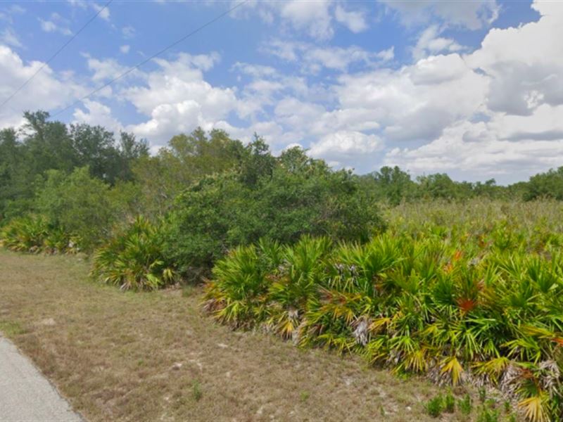 Nice Half Acre Property : Alva : Lee County : Florida