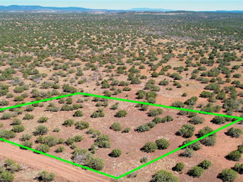 Homestead Acreage Near Ash Fork : Williams : Coconino County : Arizona