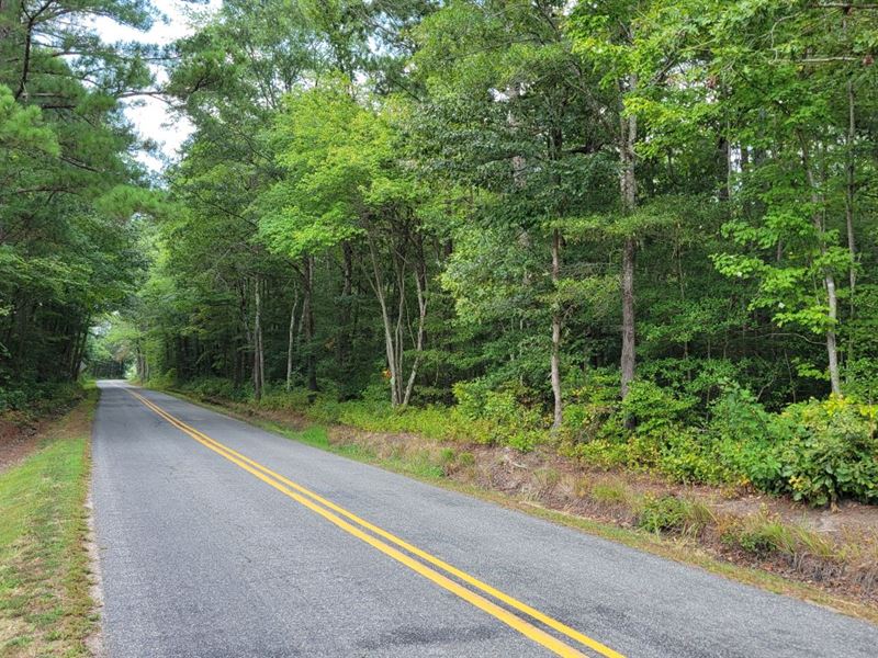 21.91 Ac in Westmoreland County, VA : Montross : Westmoreland County : Virginia