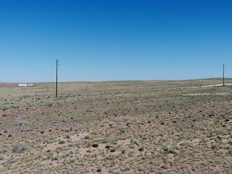 Escape to Green, Peace & Quiet : Holbrook : Apache County : Arizona