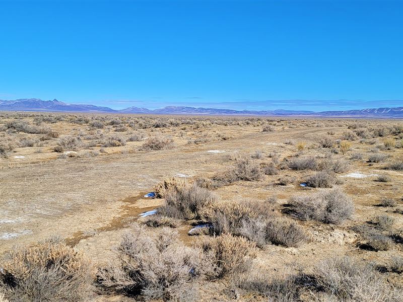 Stunning Mountain View Land : Golconda : Humboldt County : Nevada
